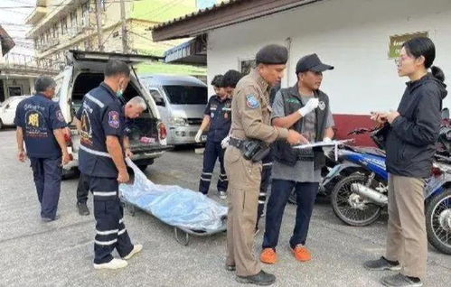 悲剧震惊，两名中国游客在日本不幸遭遇列车事故身亡